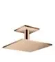 AXOR-HG-AXOR-ShowerSolutions-Kopfbrause-300-300-1jet-mit-Deckenanschluss-Polished-Red-Gold-35316300 gallery number 1